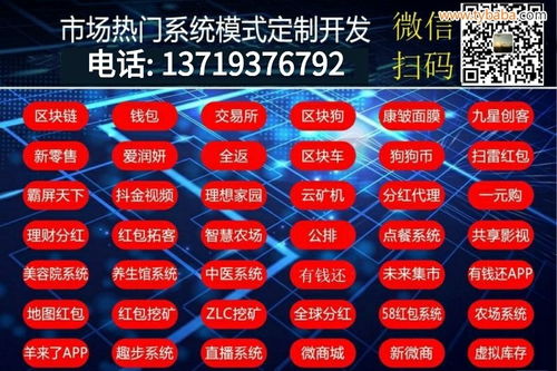 欢乐拼购App系统开发与金属制品网网络运营 数字化时代的双轨战略